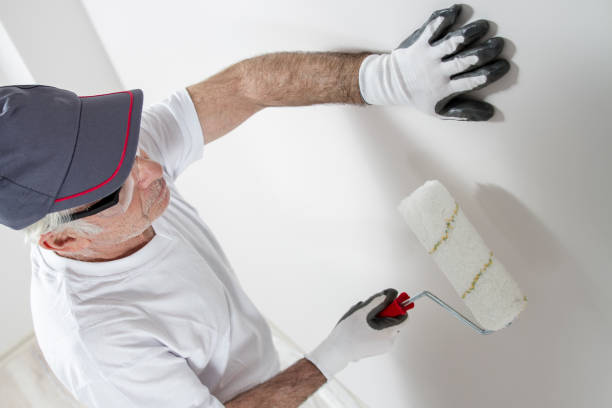 Best Black Mold Removal  in Stonecrest, GA