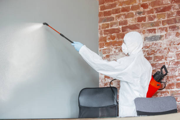 Mold Remediation for Vacation Homes in Stonecrest, GA