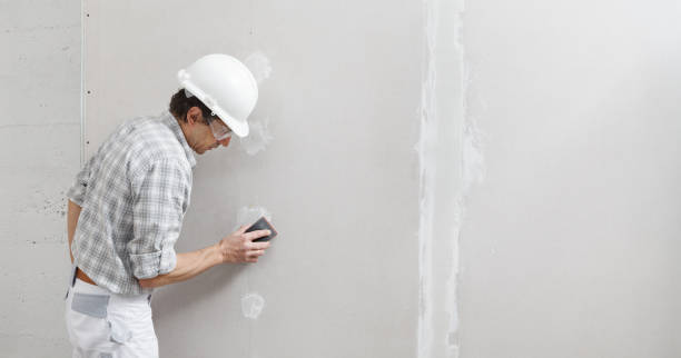 Best Mold Damage Restoration  in Stonecrest, GA
