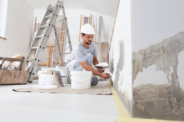 Best Post-Construction Mold Inspection  in Stonecrest, GA