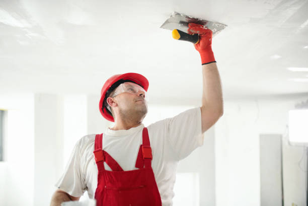 Best Mold Remediation for Vacation Homes  in Stonecrest, GA