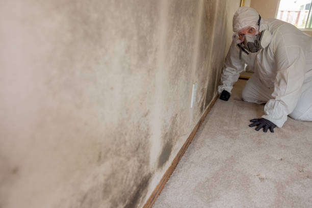 Best Indoor Air Quality Assessment  in Stonecrest, GA